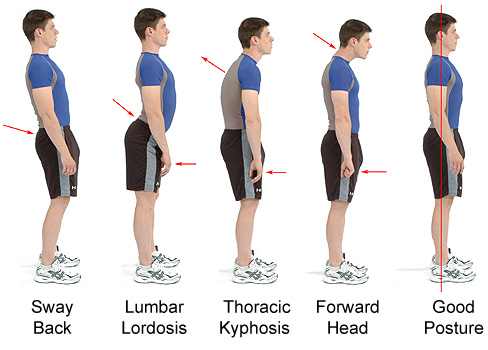 posture-chart[1]