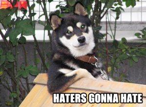 haters-gonna-hate-cool-dog