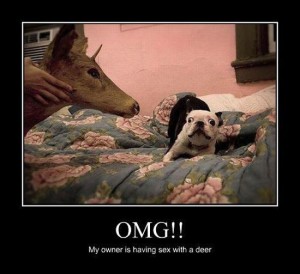 55f971e3a5a850cd1d795b9fa4d83471