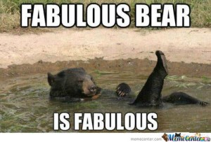 fabulous-bear_o_421837