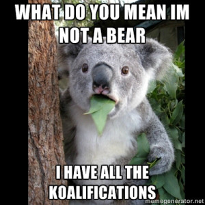 koala-bear-meme-generator-7819