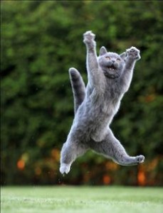 f921fcbfc1f4a25068bc7ccdc815b6d8