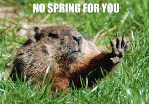 201502_0750_baaah_sm